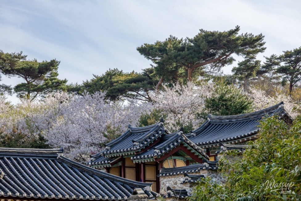 A Night Under the Stars_02