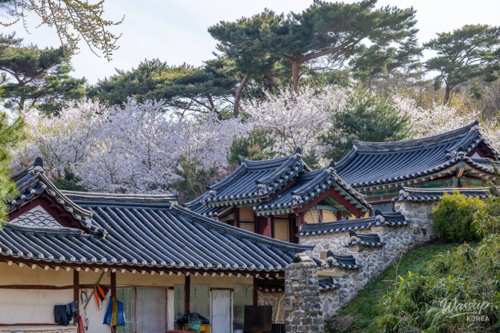 A Night Under the Stars_03