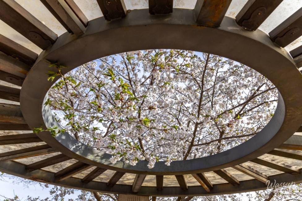 A Night Under the Stars_06