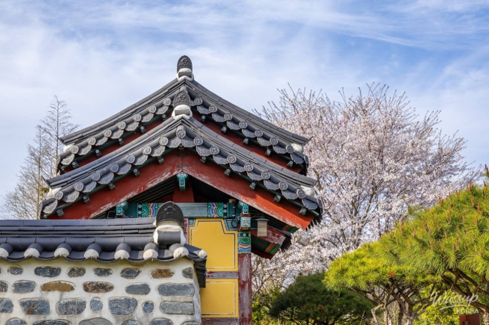 A Night Under the Stars_12