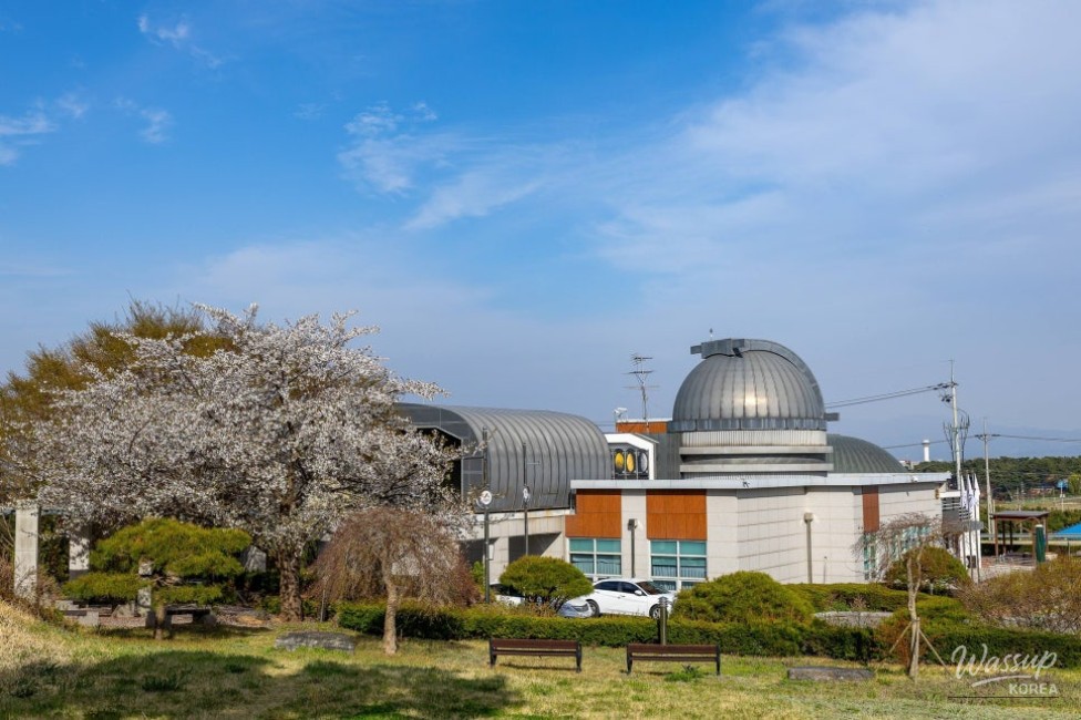 A Night Under the Stars_09