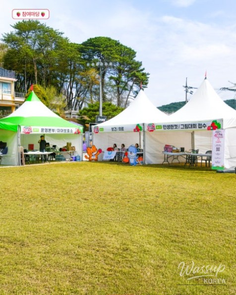 2026 Jinju Strawberry Festival: A Sweet Spring Experience_09