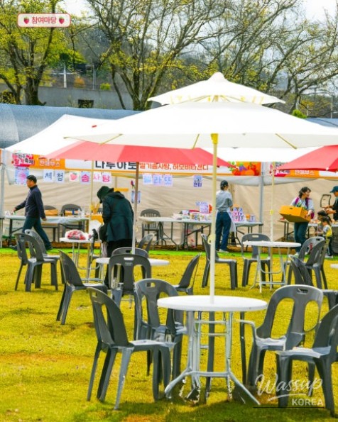 2026 Jinju Strawberry Festival: A Sweet Spring Experience_10