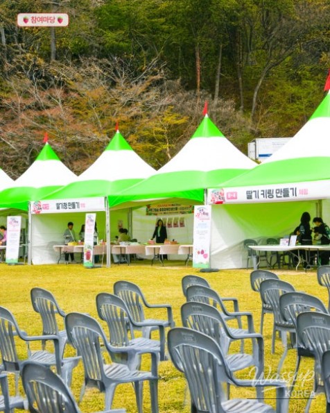 2026 Jinju Strawberry Festival: A Sweet Spring Experience_11