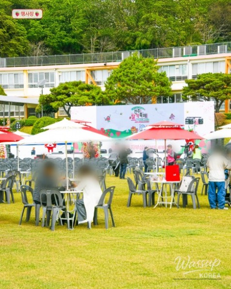 2026 Jinju Strawberry Festival: A Sweet Spring Experience_04