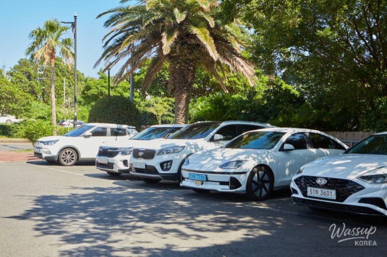 Exploring Jeju's Grilled Fish Restaurants_03