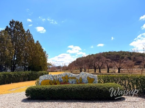 Emotional Photography Spot: Guseodo Station in Namwon_15