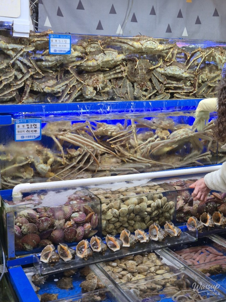 A Memorable Company Dinner at Noryangjin Fish Market_08