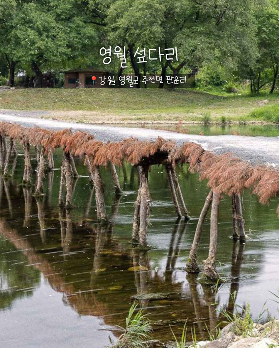 A Nostalgic Journey to Yeongwol: The 8090 Retro Tour_04