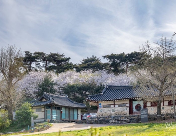 A Night Under the Stars float