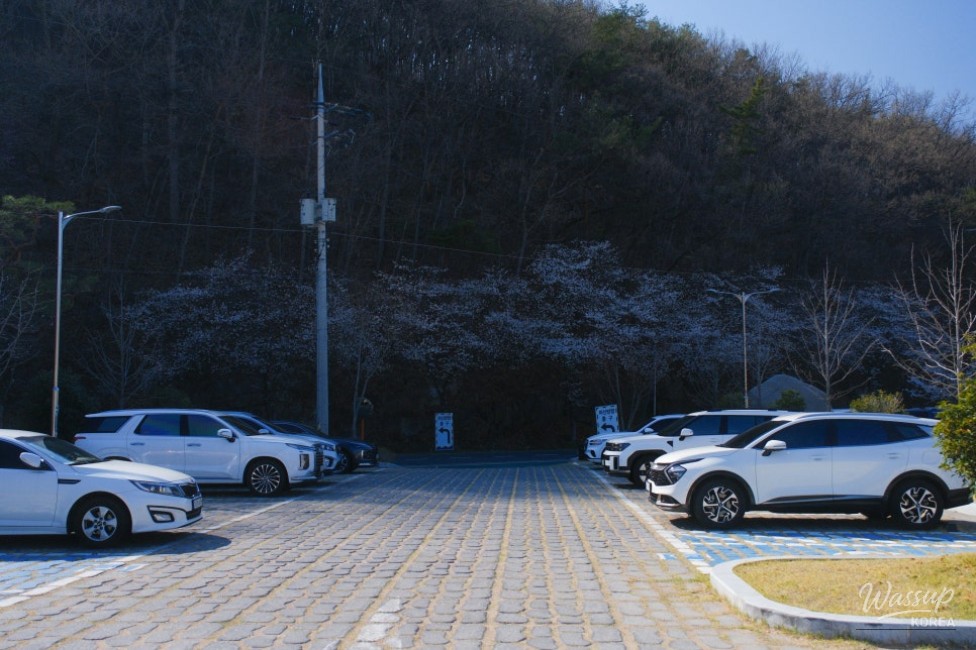 Exploring IpGok Natural Ecology Playground in Hamann_04