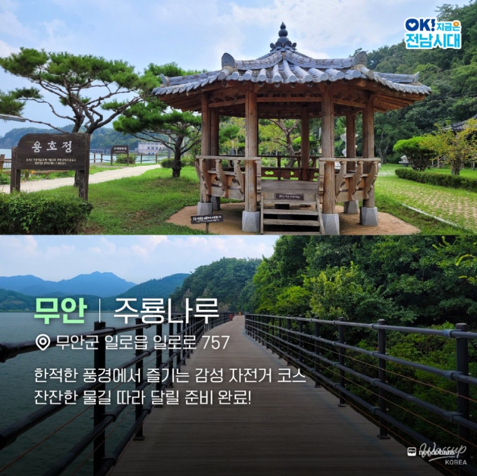 Bicycle Journey Through Jeonnam: Riding with the Wind_04