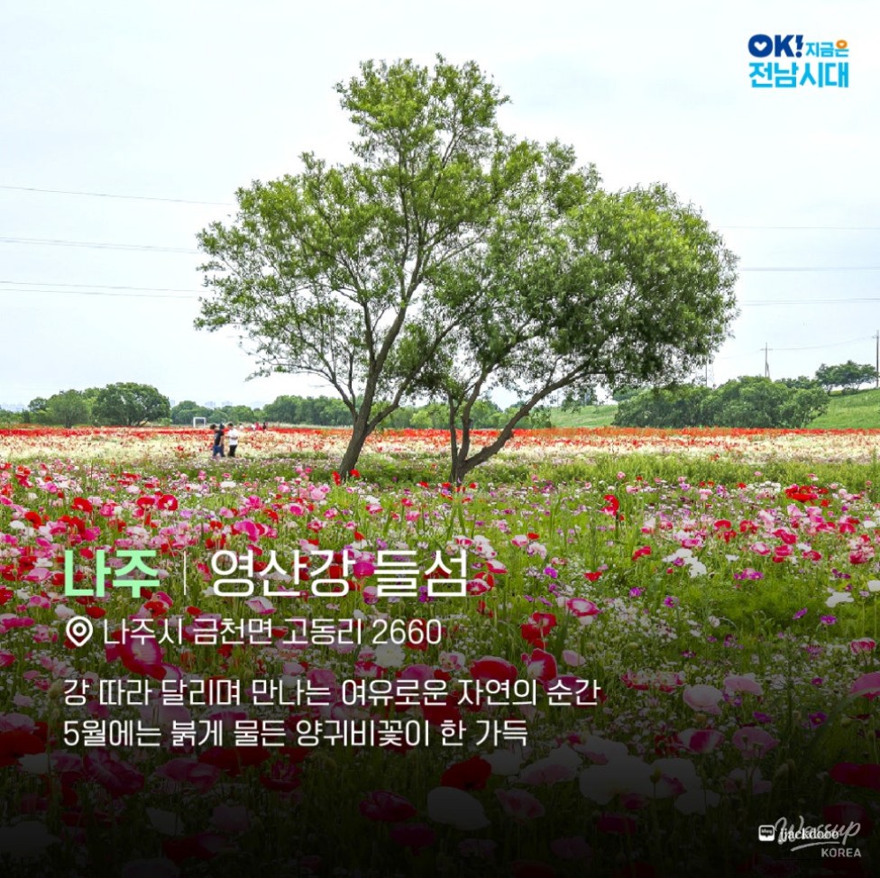 Bicycle Journey Through Jeonnam: Riding with the Wind_05