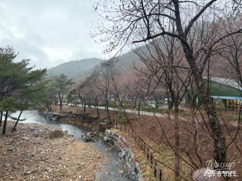 Healing Trip to Yonghyeon Natural Recreation Forest_03
