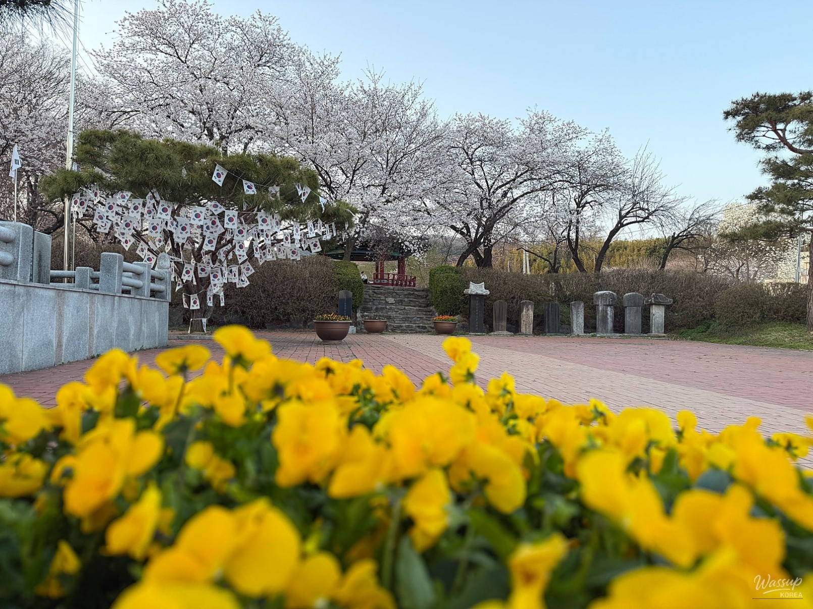 Discovering the Beauty of Gunjajeong in Spring_05