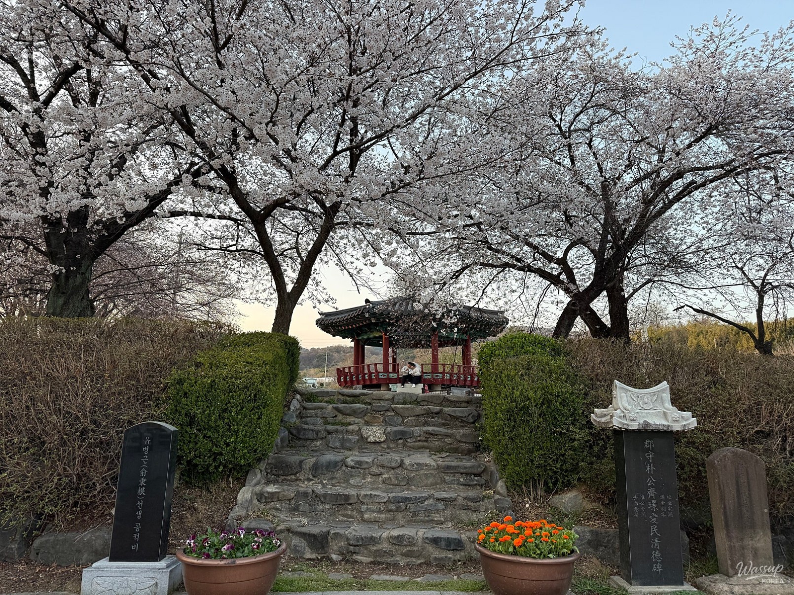 Discovering the Beauty of Gunjajeong in Spring_04