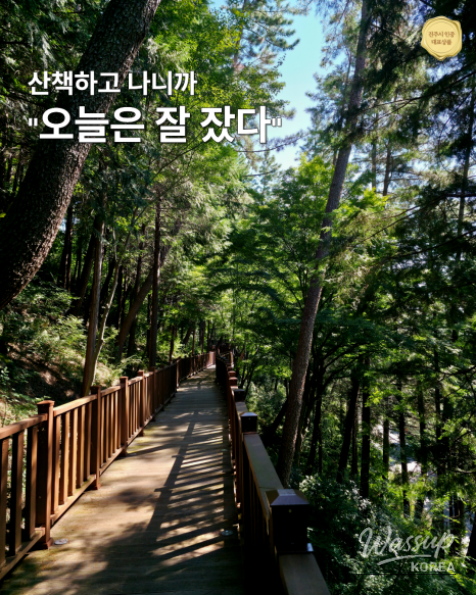 Explore Jinju: The Nongae Edition Travel Package_04