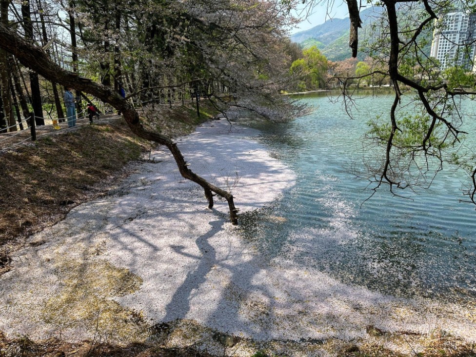 A Hidden Spring Garden in Gyeonggi-do_04