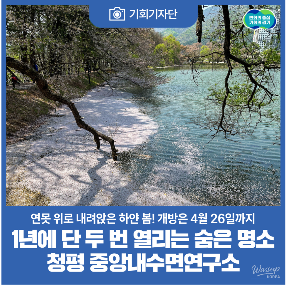 A Hidden Spring Garden in Gyeonggi-do_01