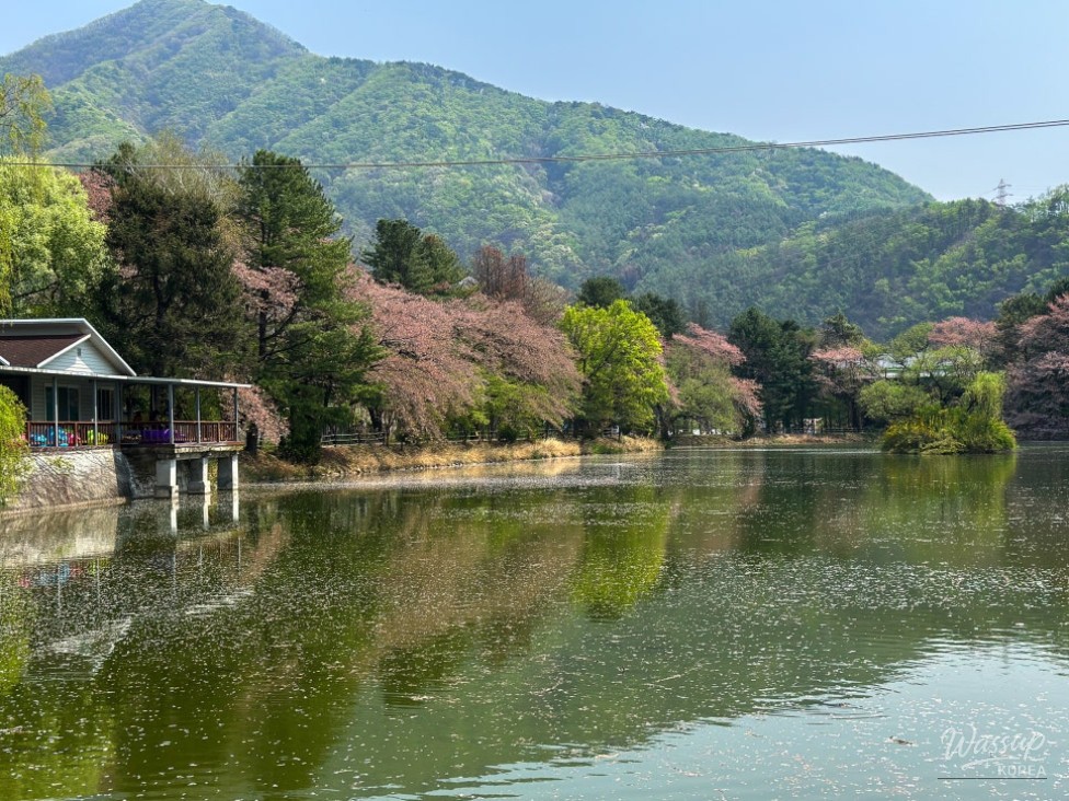 A Hidden Spring Garden in Gyeonggi-do_02