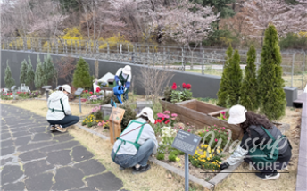 Spring Flower Attractions in Seoul_09