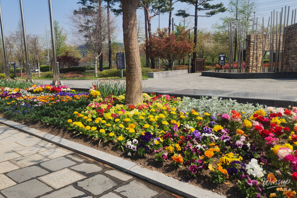 Spring Flower Attractions in Seoul_05