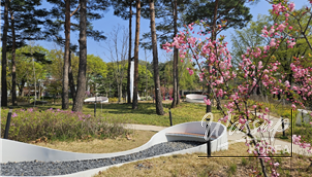 Spring Flower Attractions in Seoul_03