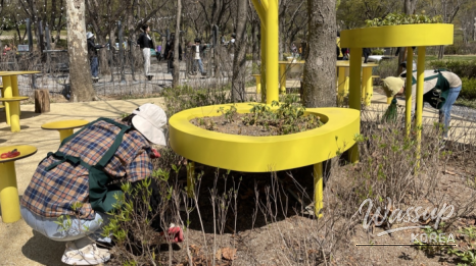 Spring Flower Attractions in Seoul_06