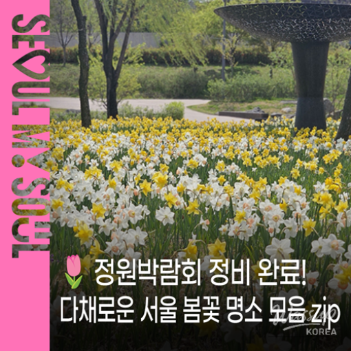 Spring Flower Attractions in Seoul_01