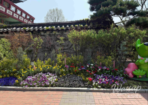 Spring Flower Attractions in Seoul_12
