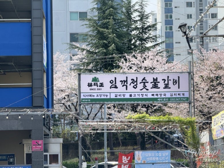 Discovering a Hidden Gem for Company Dinners in Ulsan_02