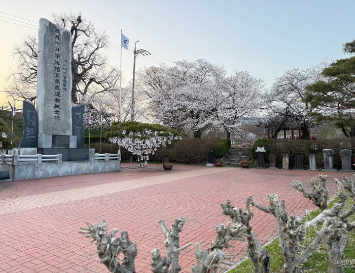 Discovering the Beauty of Gunjajeong in Spring float