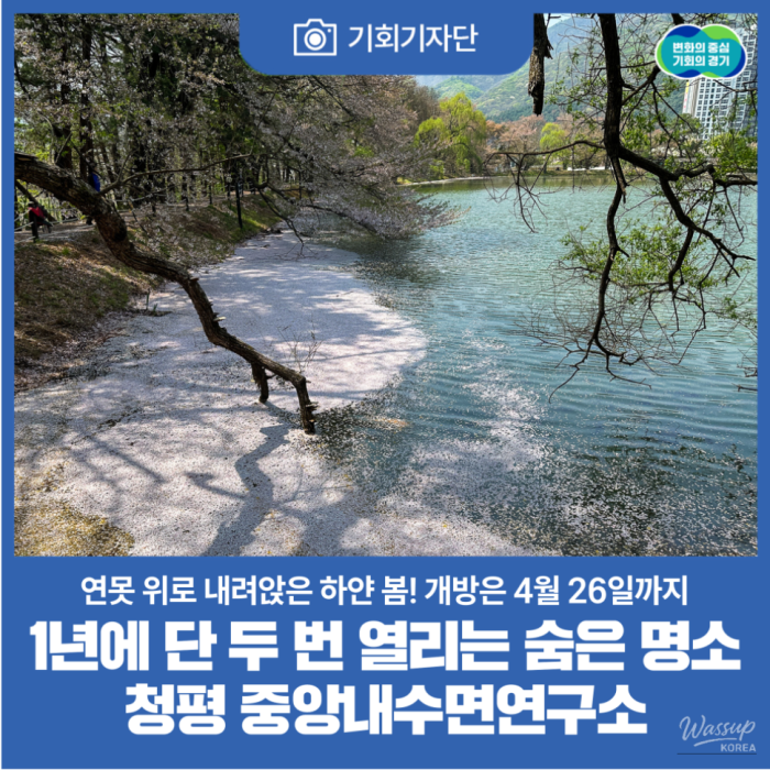 A Hidden Spring Garden in Gyeonggi-do1656