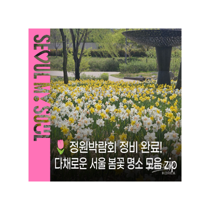Spring Flower Attractions in Seoul1122
