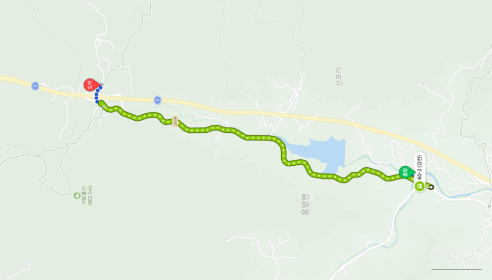 Exploring Wonyang Cherry Blossom Road_03