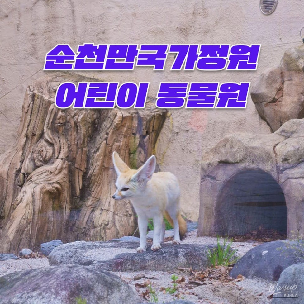 Unforgettable Experiences in Suncheon_05