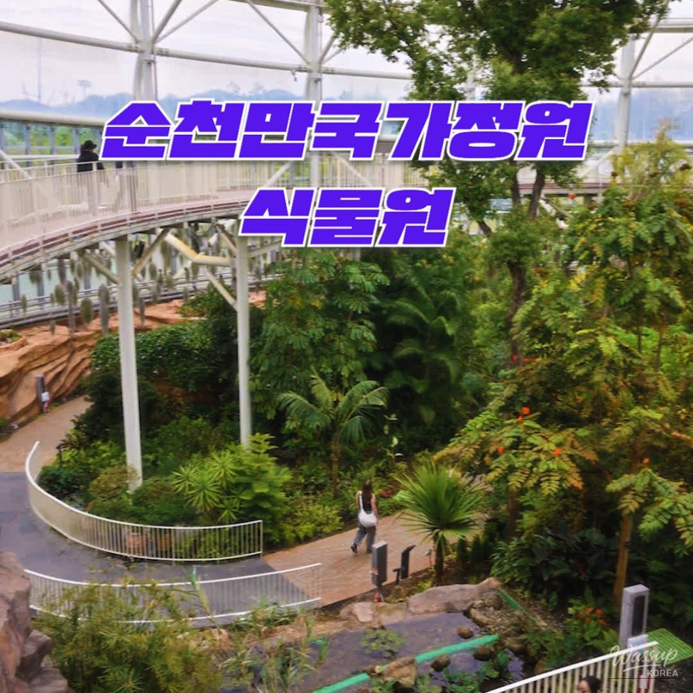 Unforgettable Experiences in Suncheon_04