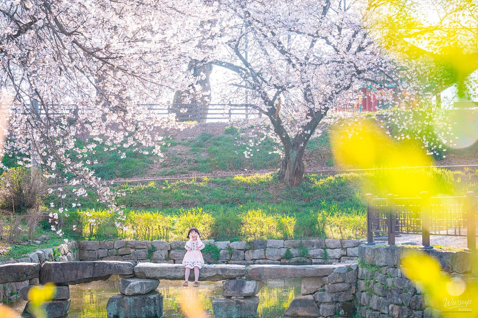 Springtime Cherry Blossom Adventures in Dangjin_03
