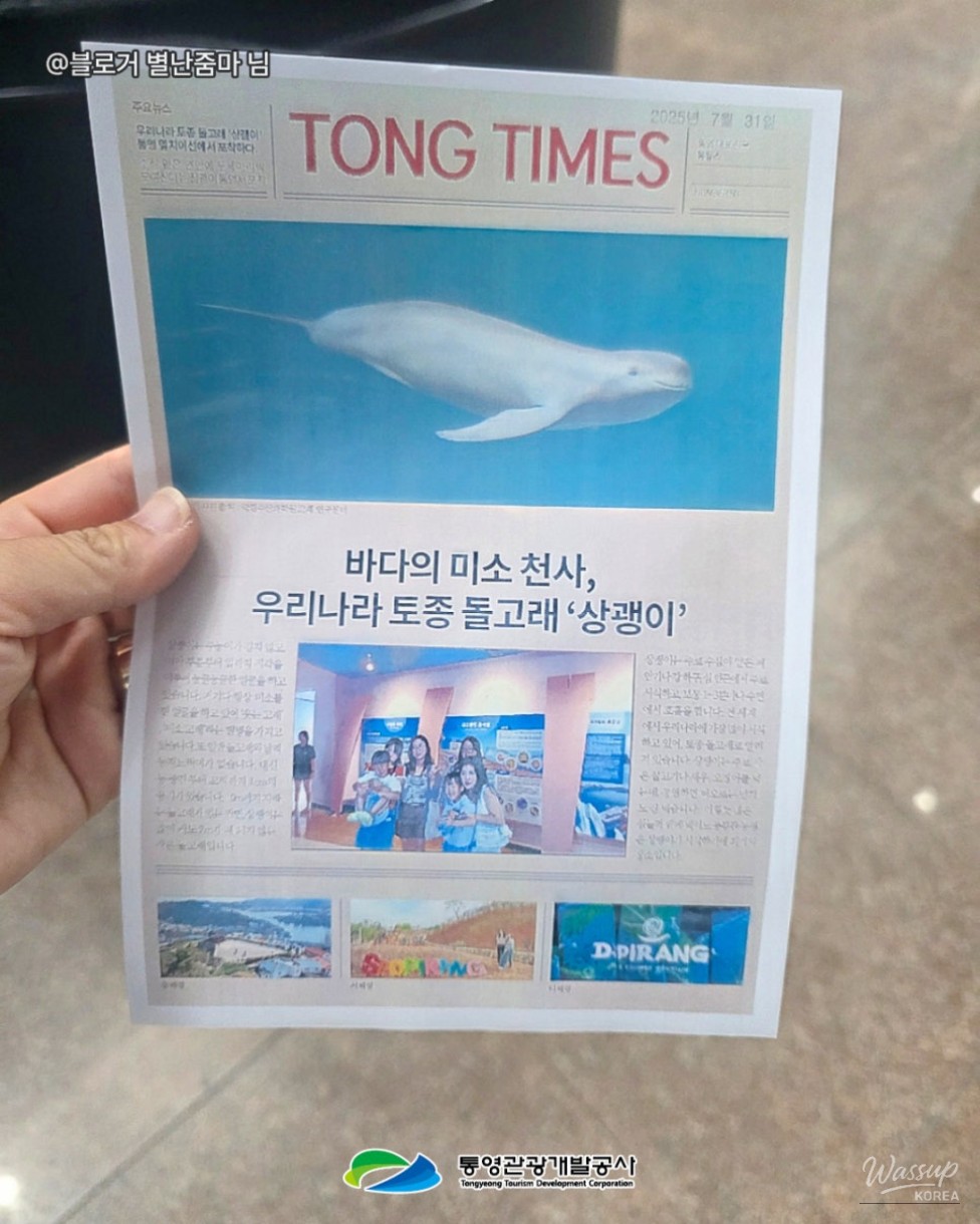 Discover Tongyeong: A Family-Friendly Indoor Destination_08