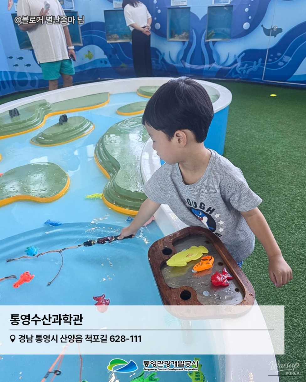Discover Tongyeong: A Family-Friendly Indoor Destination_04