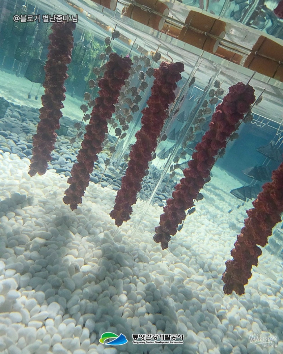 Discover Tongyeong: A Family-Friendly Indoor Destination_07