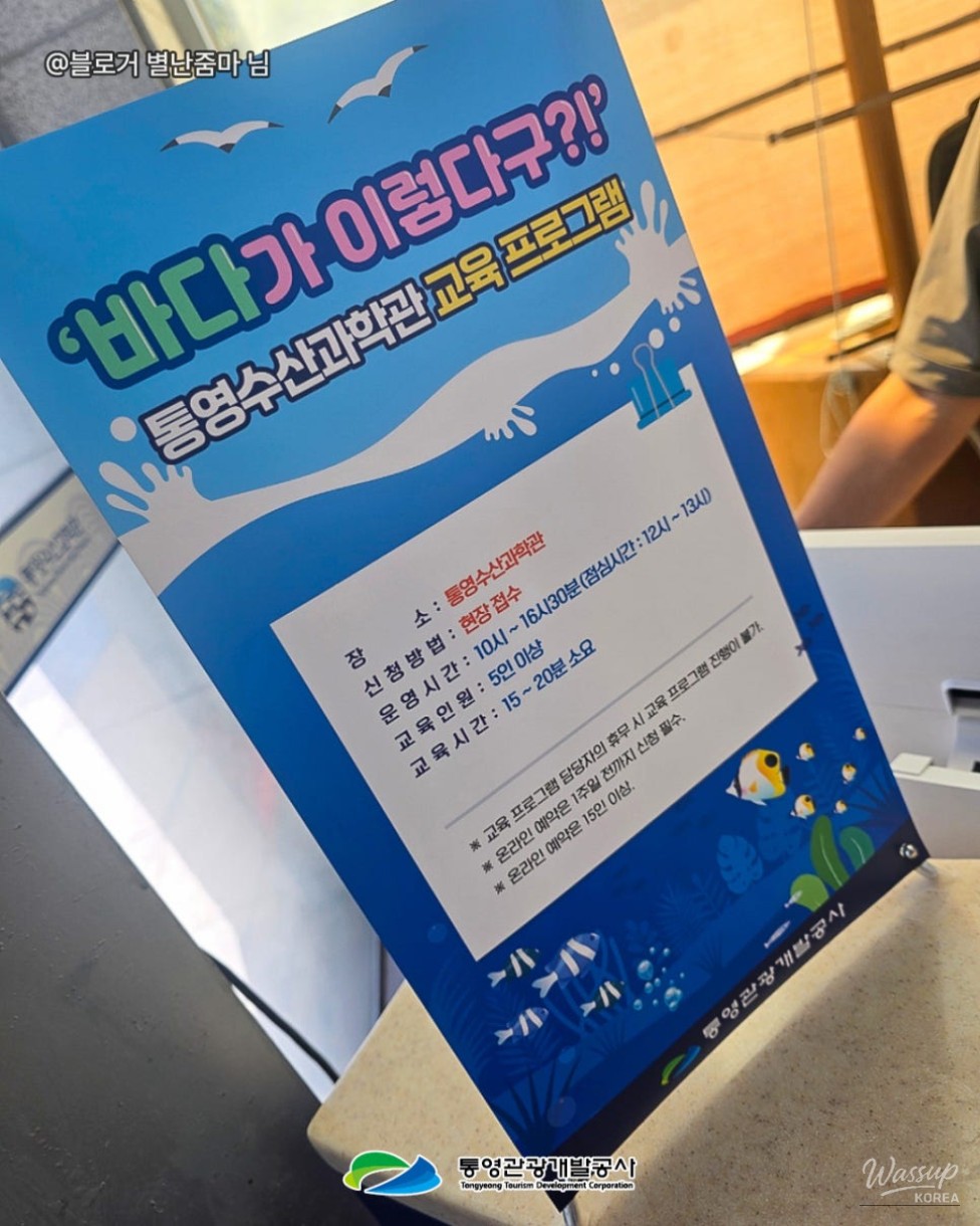 Discover Tongyeong: A Family-Friendly Indoor Destination_09