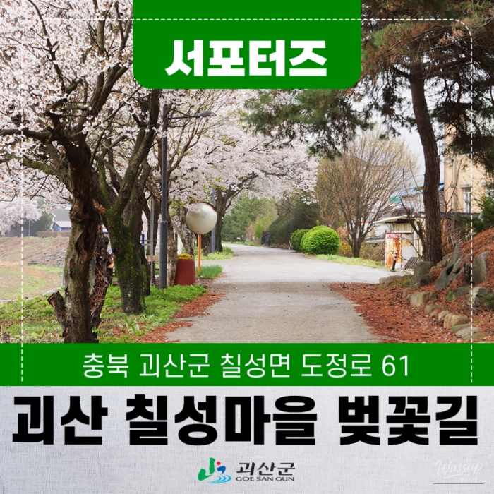 Exploring the Hidden Cherry Blossom Path in Goesan3337