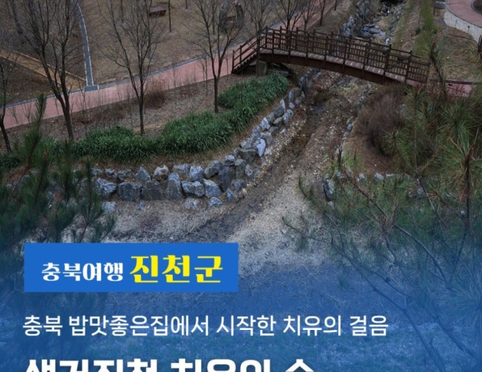 A Journey Through the Healing Forest of Seonggeo Jincheon float
