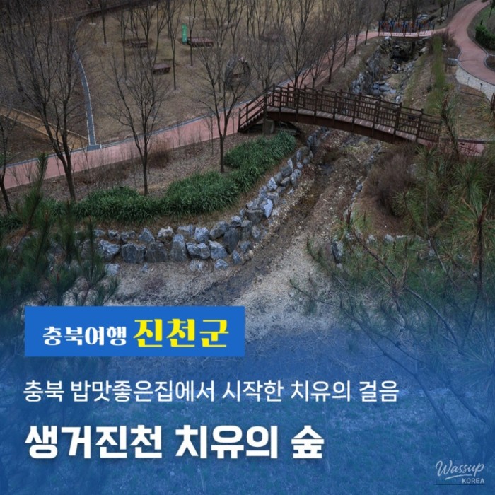 A Journey Through the Healing Forest of Seonggeo Jincheon3338