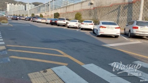 Exploring Ulsan's Taehwa River National Garden_03