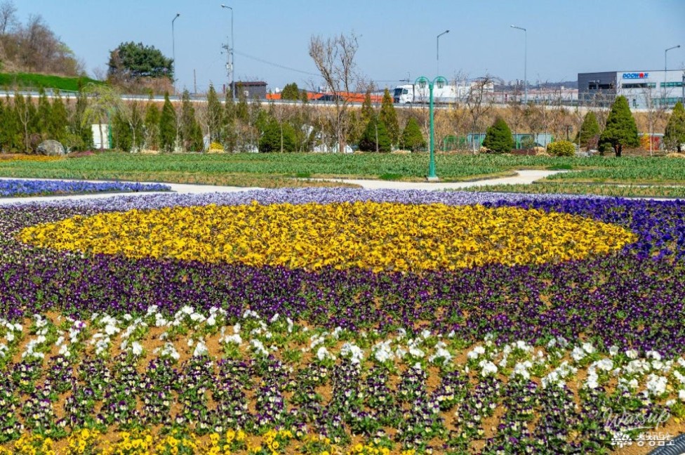 Discover Pinnacle Land: A Green Paradise in Asan_04