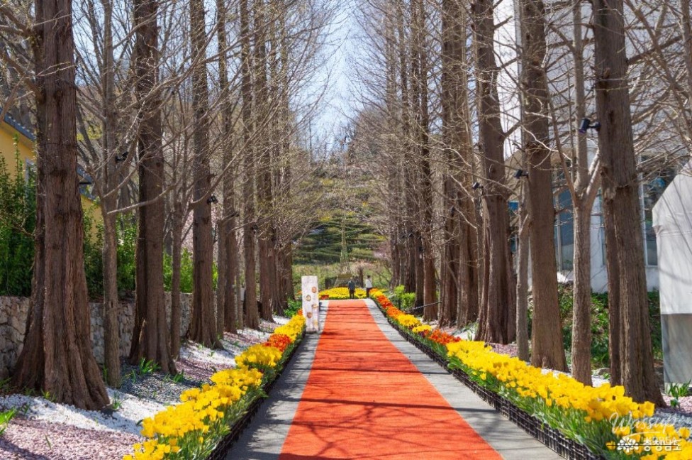 Discover Pinnacle Land: A Green Paradise in Asan_03