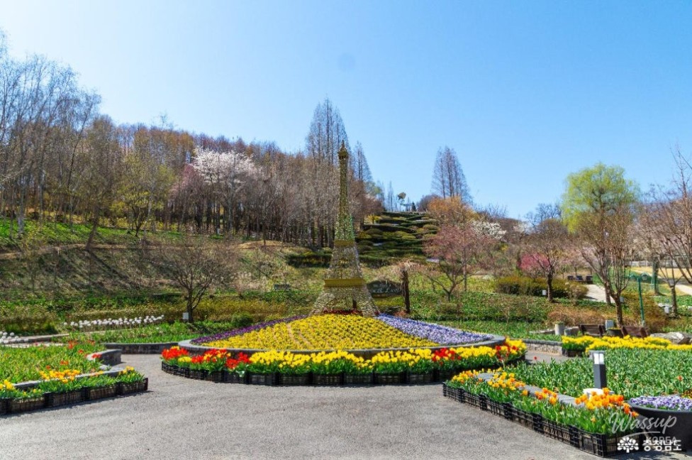 Discover Pinnacle Land: A Green Paradise in Asan_05