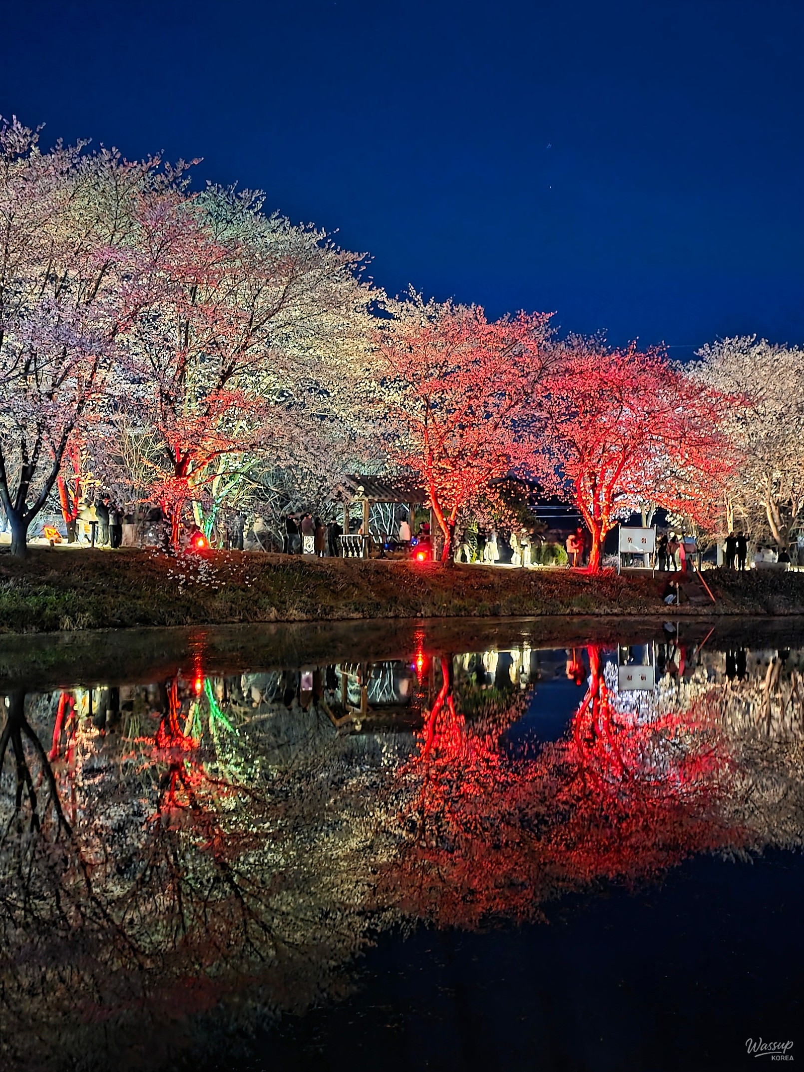 Exploring the Beautiful Goljeong Reservoir in Dangjin_03